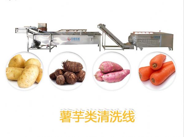 薯芋類洗濯線